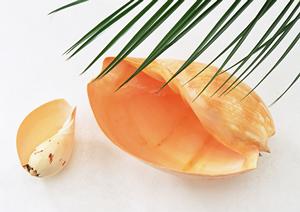 挙式で用いたブーケを大切に保存出来ます