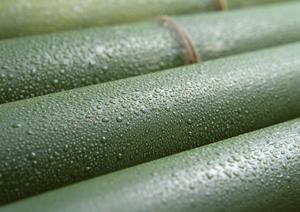 安く早く名入れのボールペンを作るなら