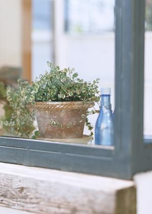 名入れボールペンならママダ印刷株式会社